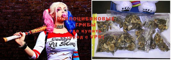 спайс Козловка