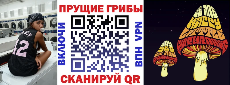 Галлюциногенные грибы прущие грибы  купить  сайты  Кызыл 