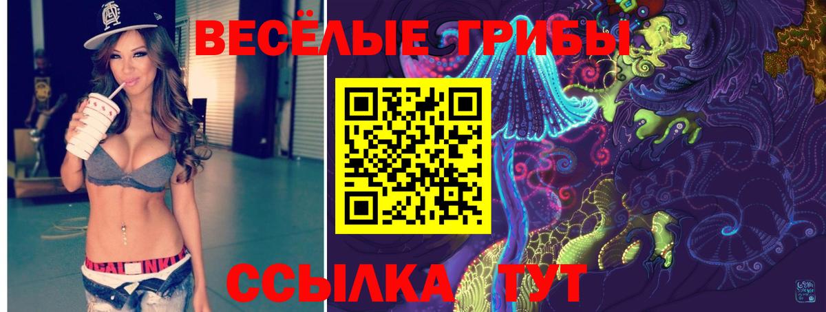 Кызыл  где купить наркотик  Вход с VPN  Псилоцибиновые грибы прущие грибы 