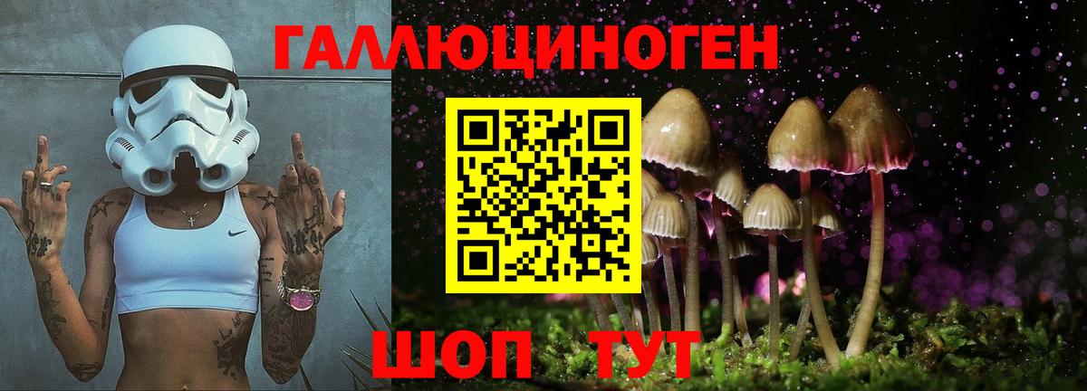 Галлюциногенные грибы ЛСД  Кызыл 